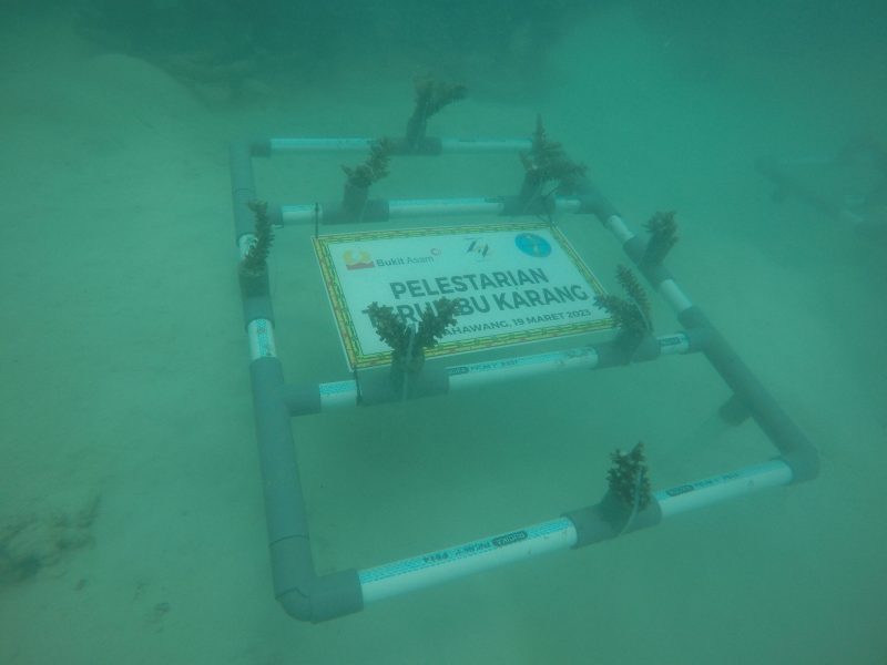 DCIM100GOPROGOPR9747.